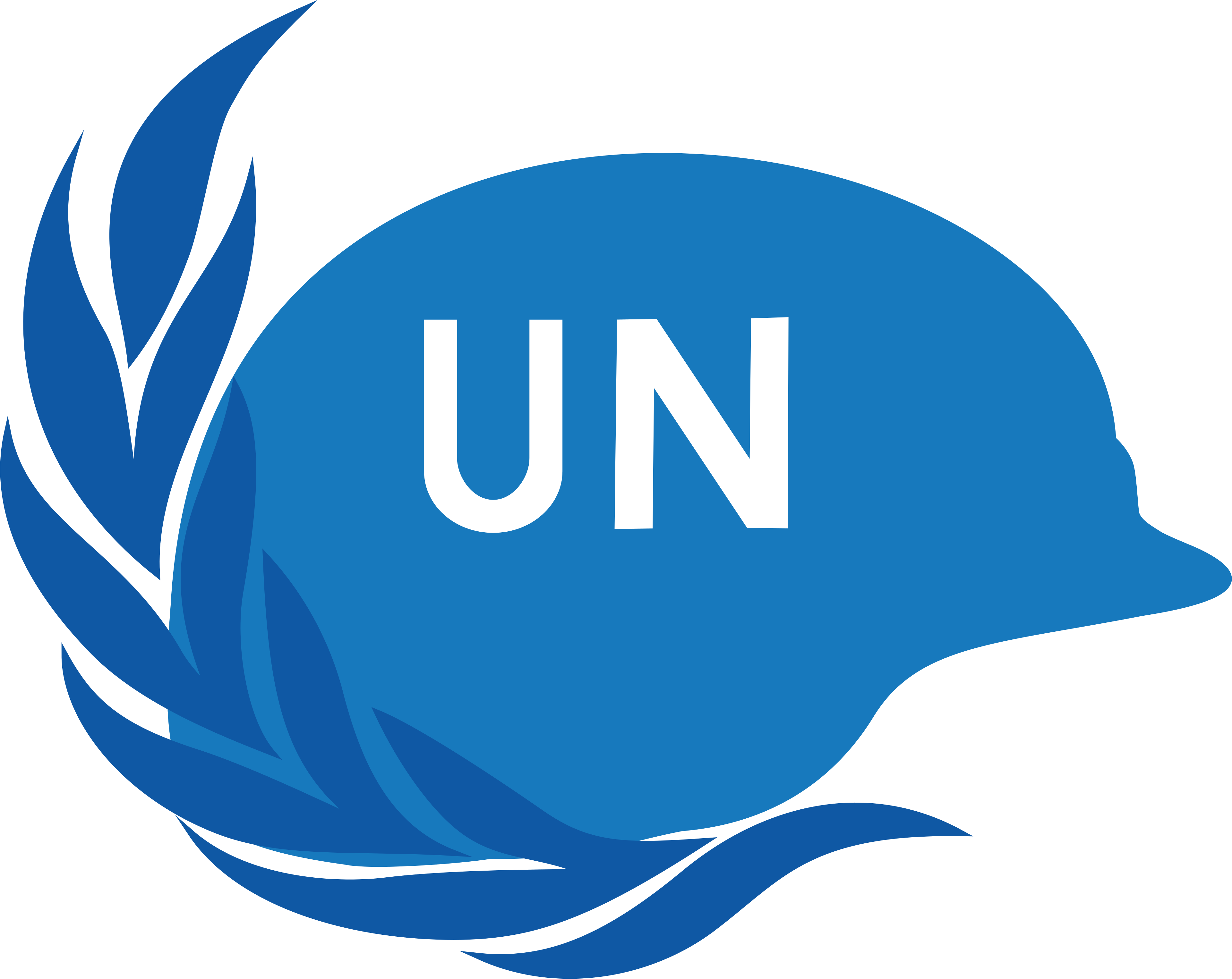 Peacebuilding Support Office